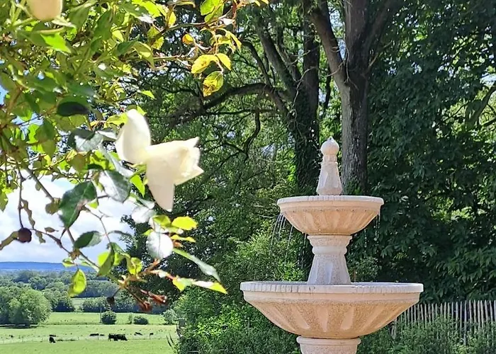 Le P'tiny D'alienor - Tiny House